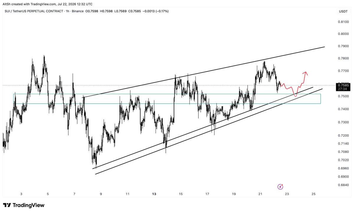 Flamez9736's tweet photo. $SUIUSDT Update:

Since the market is overall bullish, we expect for SUI after it retests the trendline, that it goes to the upside after going for the $0.75 psychological, trendline, and horizontal support. 
expecting to see some long signals once we test that area. https://t.co/N4Jl5970O8