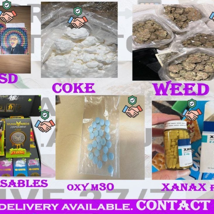 PlugWeed77's tweet photo. Bath  weed plug Bath  snow blow white flakes plug Bath shrooms plug Bath YARTS plug #yarts #carts #Bathplug Bath weed drugs in Bath Active plug in Bath shrooms plug in Bath smoke Bath in Bath carts plug in Bath Carts delivery https://t.co/aPXBDGn1rk