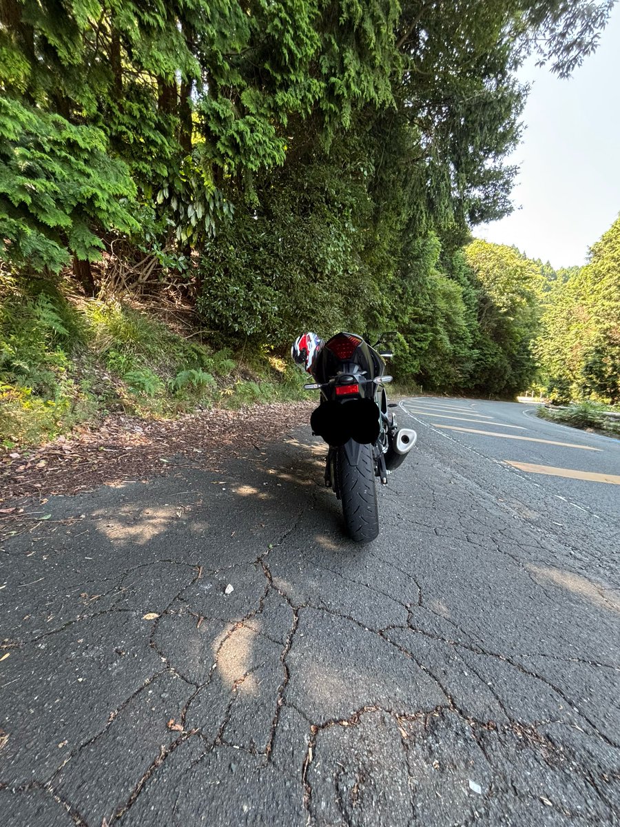 yanagiblog's tweet photo. 後ろからのYZF-R3はプリティだねー！
可愛い🩷
R25と同じ車体重量で70ccも違うとか🩷 https://t.co/hd8I2gdfwq