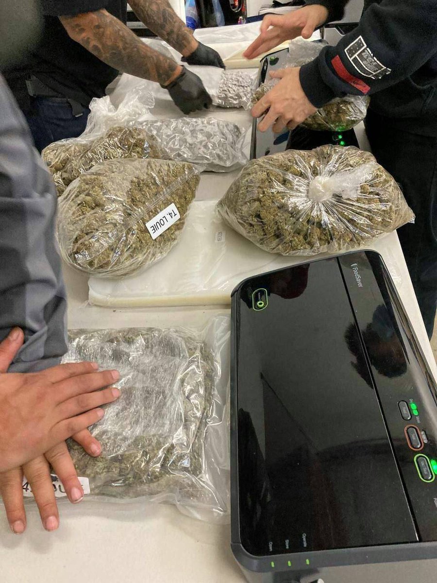 PlugWeed77's tweet photo. Sydney Australia weed plug Sydney Australia snow blow white flakes plug Sydney shrooms plug Sydney YARTS plug #yarts #carts #sydneyplug Sydney weed drugs in Sydney Active plug in Sydney shrooms plug in Sydney smoke Sydney in Sydney carts plug in Australia Carts delivery https://t.co/RJJhqjhSIN
