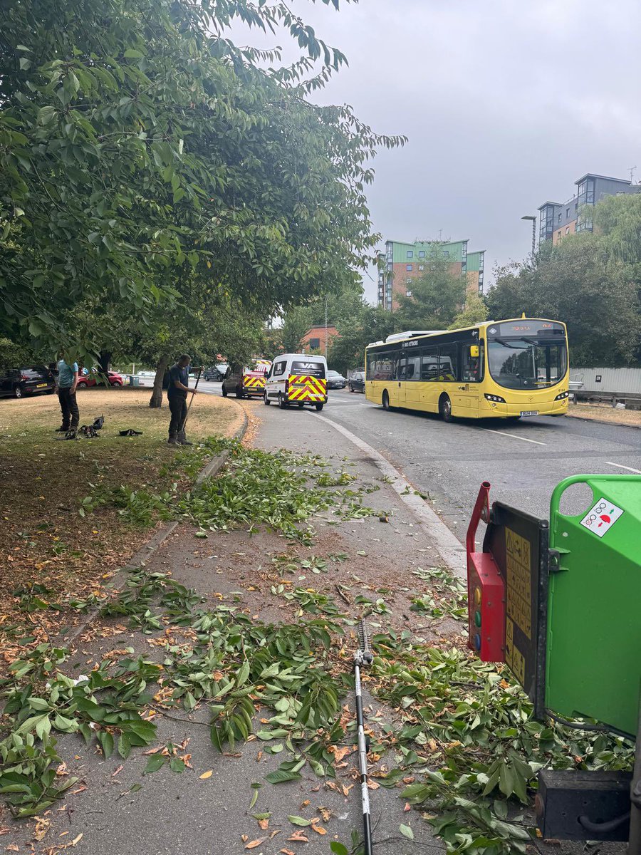 ArielTreeCare's tweet photo. Four Cherry trees reduced by 3m to clear the property line. #arieltreecare #boltontreesurgeon #localtreesurgeon #hedgetrimming #treepruning #grasscutting #stumpremoval  #qualifiedtreesurgeon #treeservices #treecare #treepreservationorder #conservationarea https://t.co/vDxa1jATGd