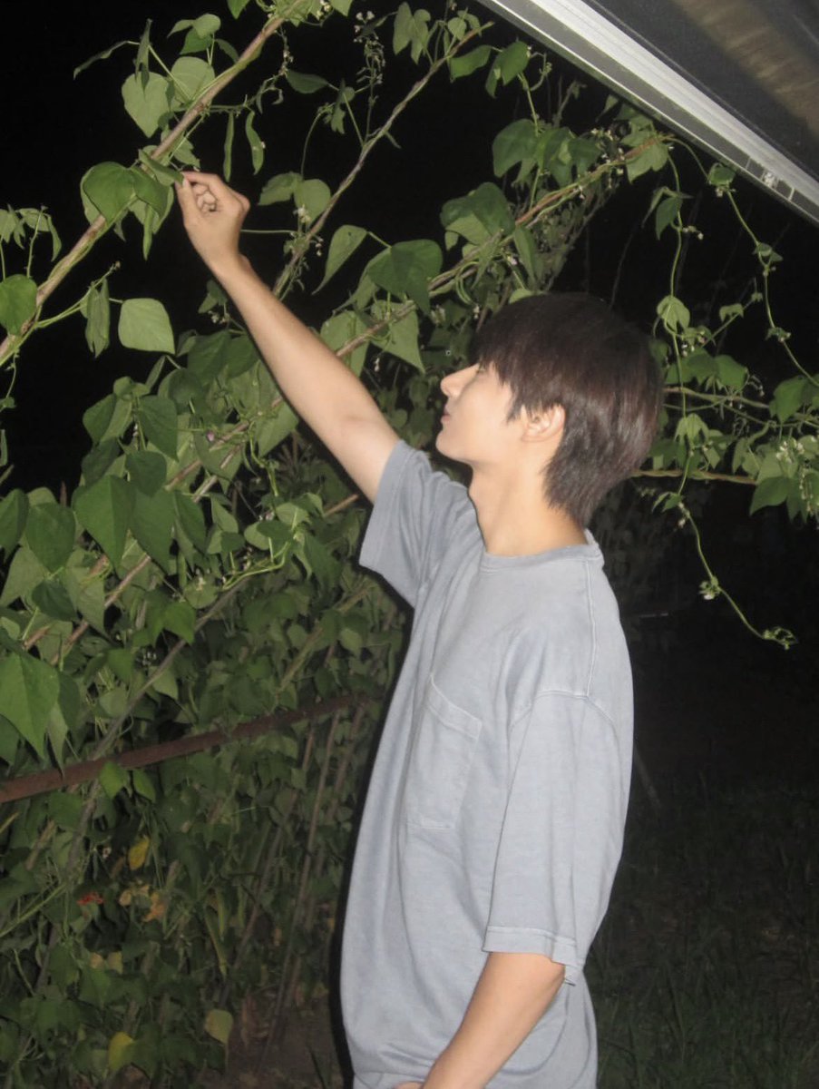 WenJunhuiMX's tweet photo. 250726 | 📸 Nueva publicación de Jun en Instagram 

🐱: 🫛🌽☁️

🔗 https://t.co/HCFY2kALZv https://t.co/23RjLBnooh