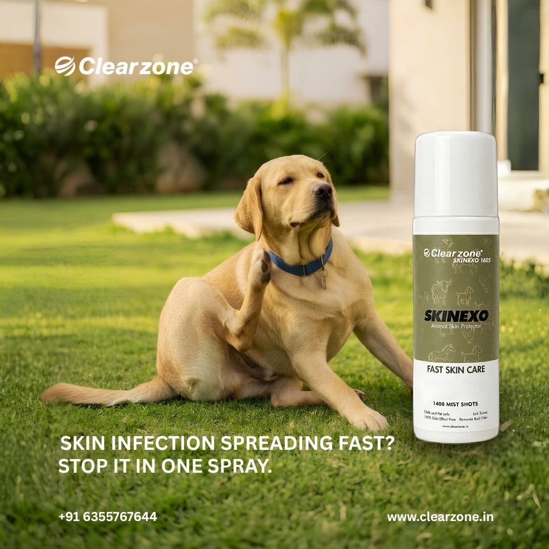 clearzone30294's tweet photo. Skin Infection Spreading Fast?
Protect your animals with Clearzone SKINEXO 1605. Helps support healthy skin by assisting with itching, fungal infections, wounds, and irritation.

📞 +91 6355767644
🛒 https://t.co/z5mtTBjgpj

#SkinInfectionSpreadingFast #Clearzone #Skinexo1605 https://t.co/iasMAQ9aW0