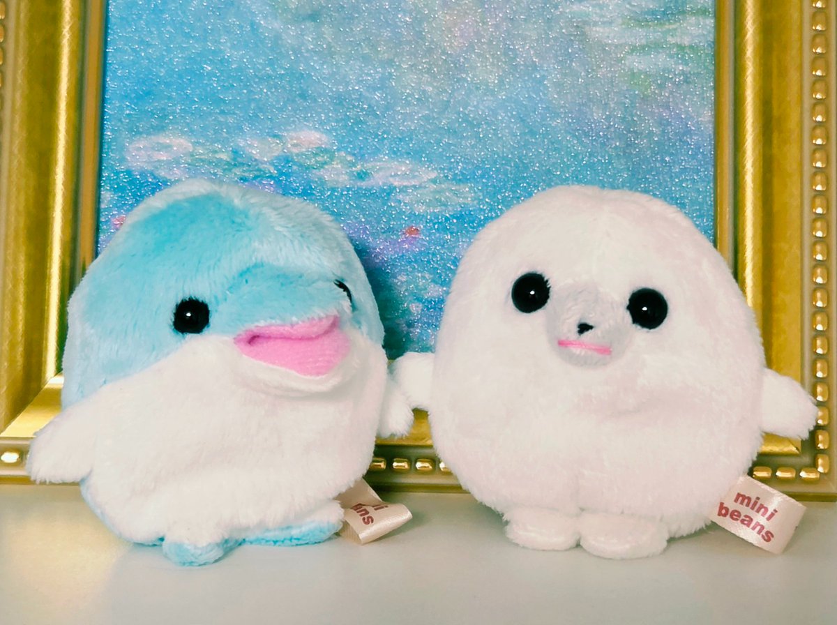 mikiputi's tweet photo. 仲間が増えたね🐬 https://t.co/7mtL8Ynu7g