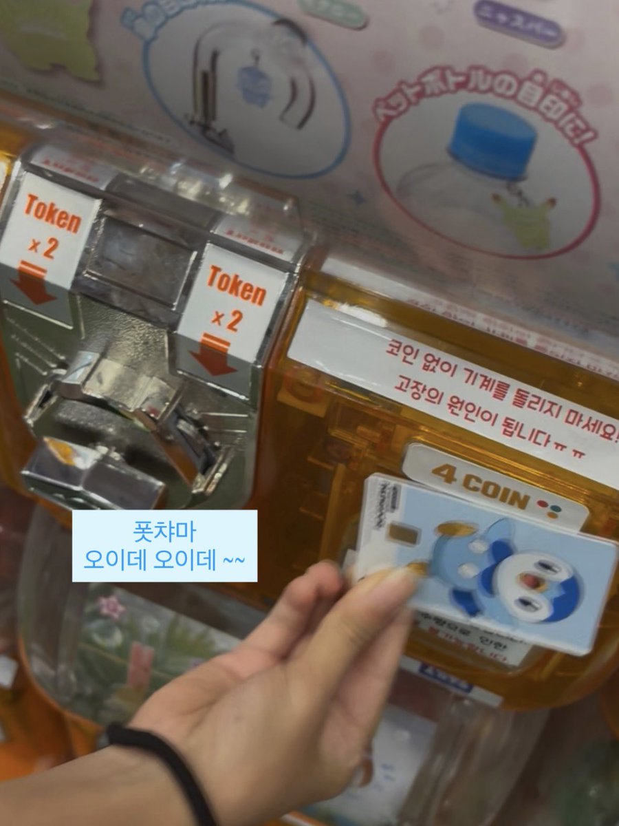 챠코 tweet media