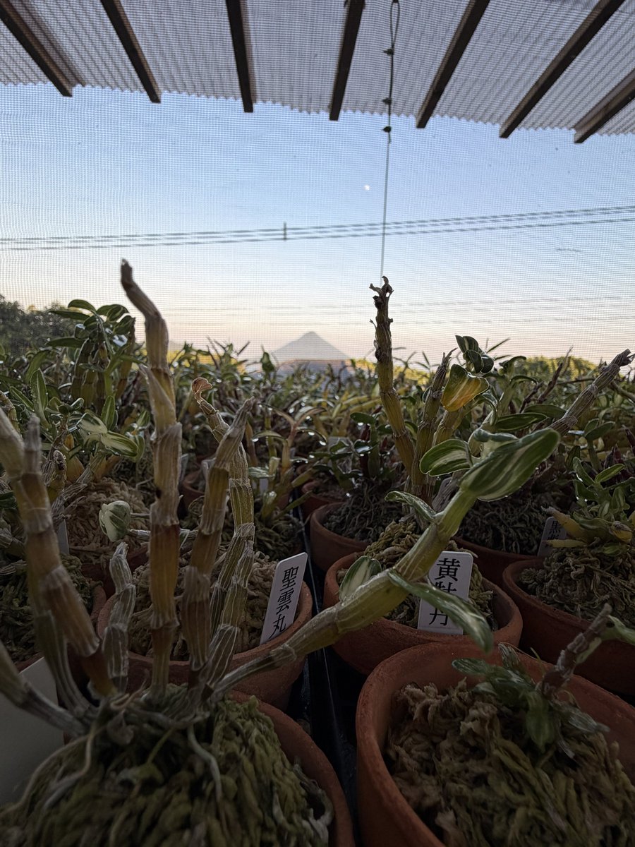 ThewalkingHMT's tweet photo. 二億年振りに洗車した
毎日毎日夕立もなく暑いなぁ

ったくこういう日は飲まなきゃやってられねぇぜ https://t.co/K9VST2WGic