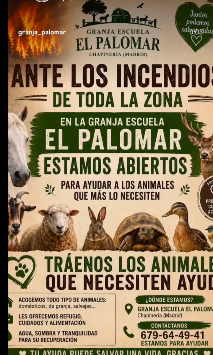 Ella_Mata's tweet photo. ¡Atención a animales ante los incendios! 
Lleva a animales que necesiten ayuda https://t.co/6VdK8PlNhY
