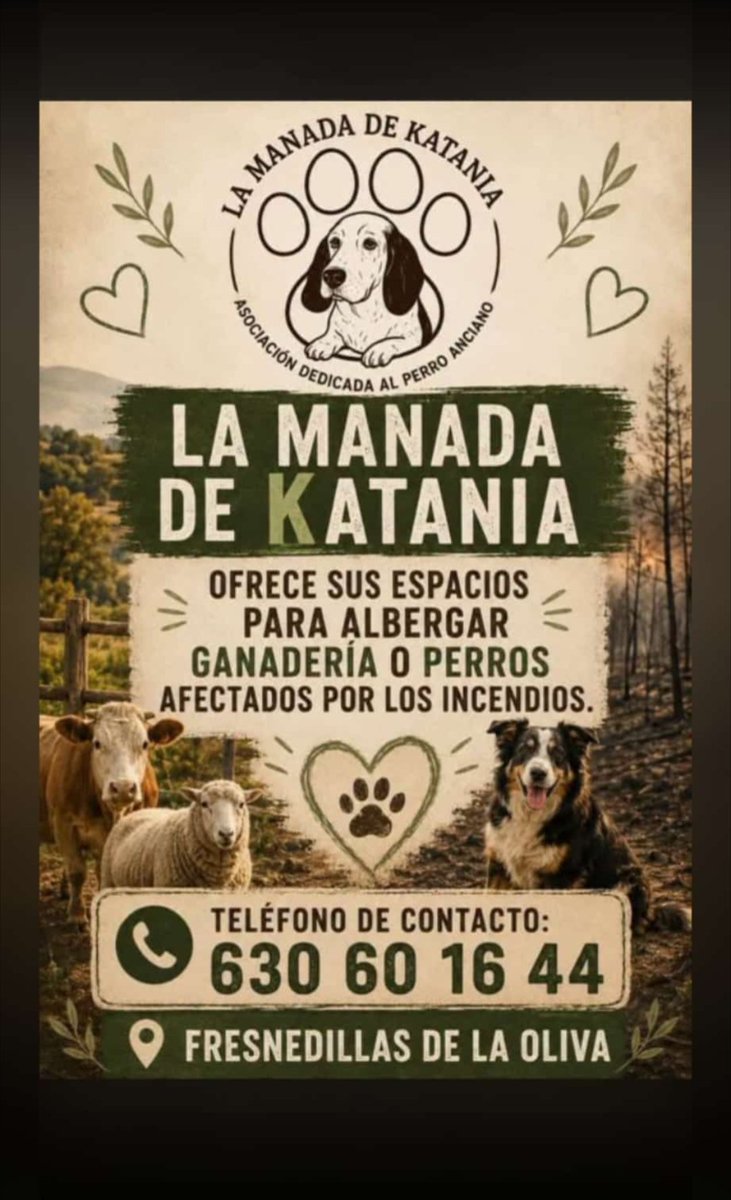 Ella_Mata's tweet photo. ¡Atención a animales ante los incendios! 
Lleva a animales que necesiten ayuda https://t.co/6VdK8PlNhY