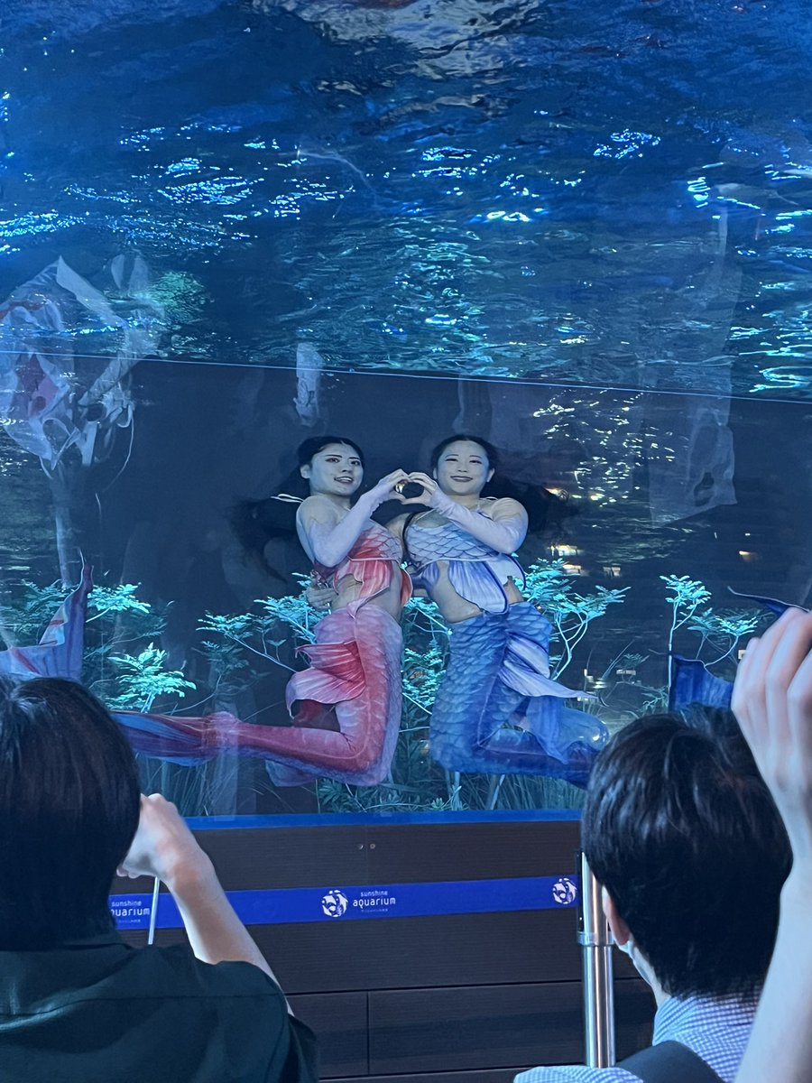 nekoDOGE12's tweet photo. 水族館コラボ行ってきた！
音声ガイドとマーメイドショウと海月空間が良かった
#超かぐや姫 https://t.co/Ui9rdegvy1