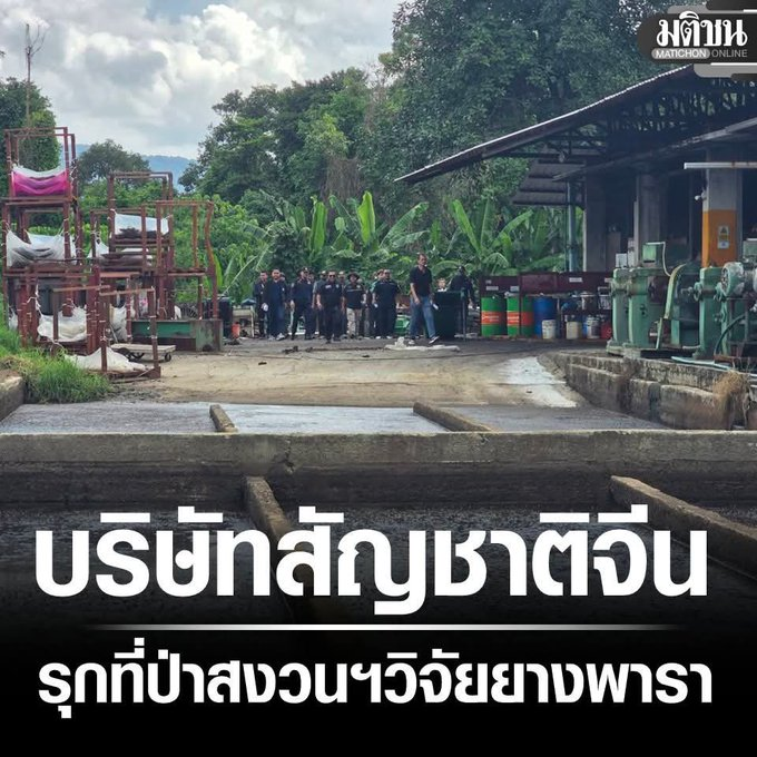 Unrulycat2511's tweet photo. ถ้าจะโทษจีน ต้องโทษข้าราชการชั่ว นักการเมืองระยำ มากกว่า https://t.co/JRJ7Js4Rgu