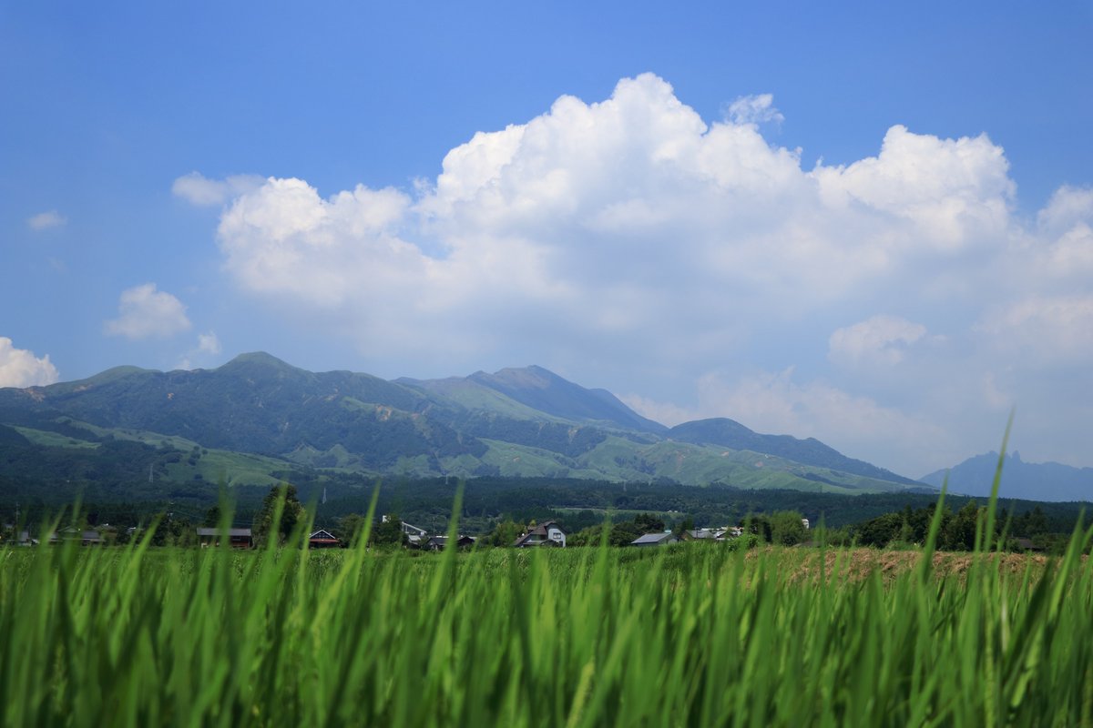 nobu_c_pic's tweet photo. 写活 ~避暑地の盛夏~
#熊本
#阿蘇
#canon
#EOS80D⁡
#風景⁡
⁡#風景写真
#キリトリセカイ
#写真で伝えたい私の世界
#ファインダー越しの私の世界
※令和8年7月25日撮影
※無断転載・保存禁止 https://t.co/qBKojOweh5