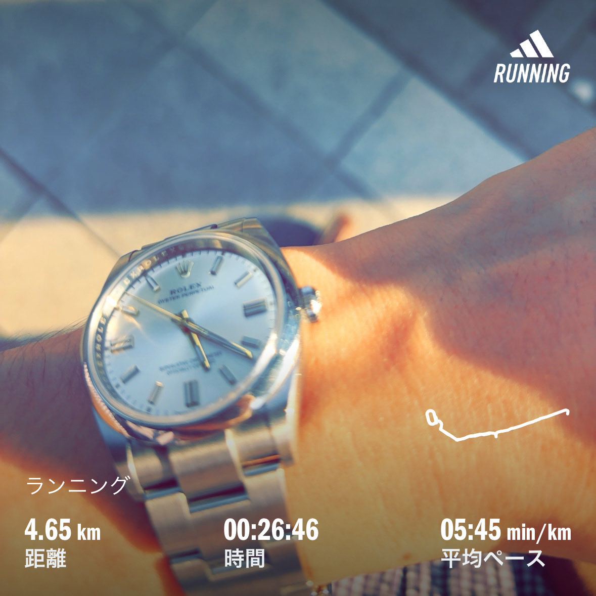 bsmtwe's tweet photo. 負傷明けラン🏃‍♂️‍➡️徐々に徐々に🏃‍➡️写真は私の相棒オイパペシルバー(126000) https://t.co/EeGvciVIID