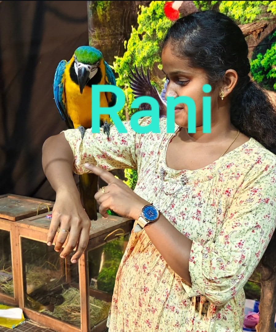 rani tweet media