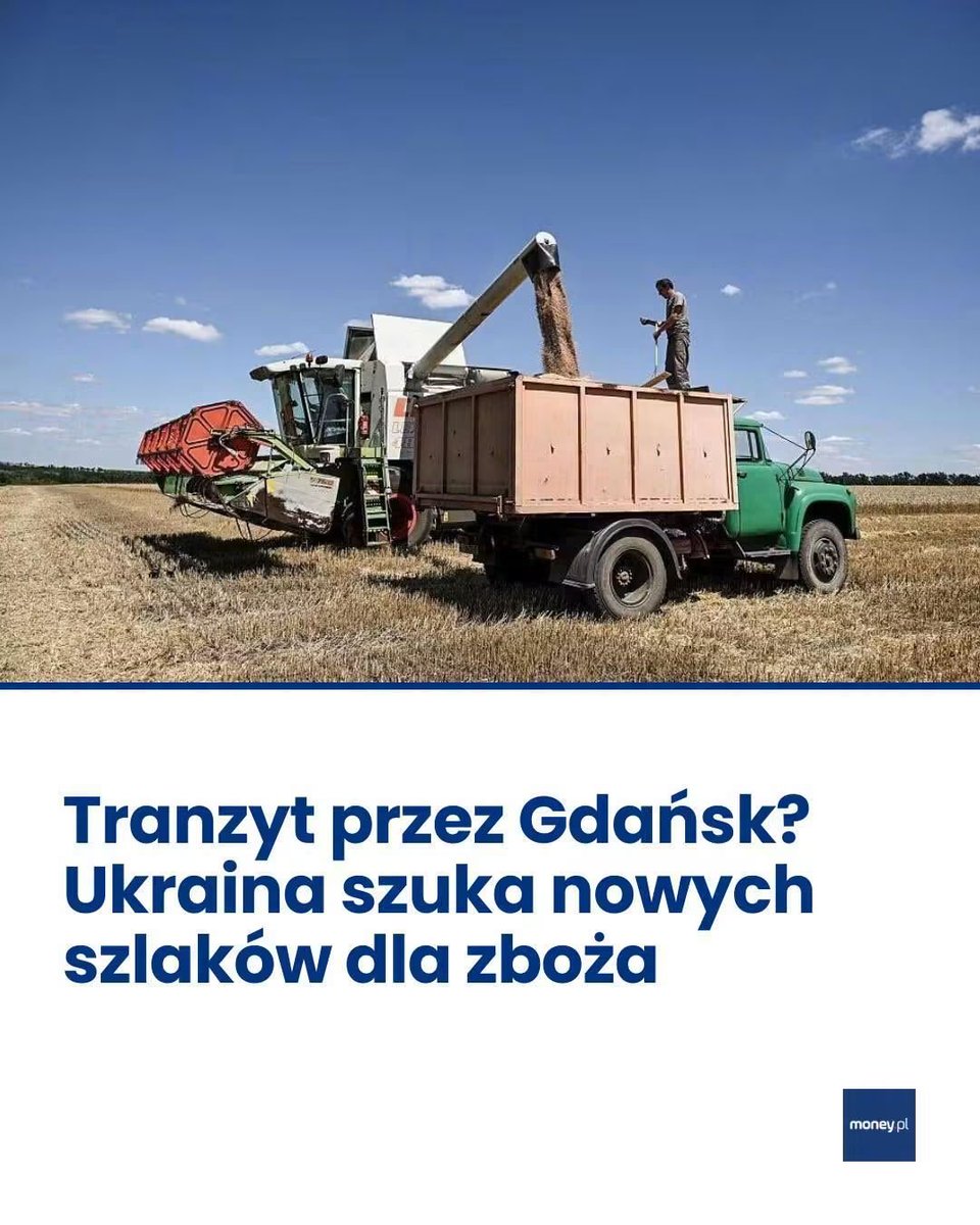 Mdemirow2's tweet photo. Banderowcy znów próbują zarzucić Polskę swoim skażonym zbożem. https://t.co/KajwV8tAJh