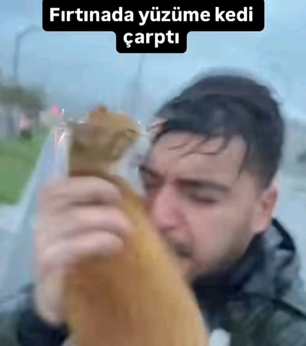 lysarlia's tweet photo. bugün istanbulda şunu yaşamak istiyoruz ya https://t.co/mmAi1Uj6pG