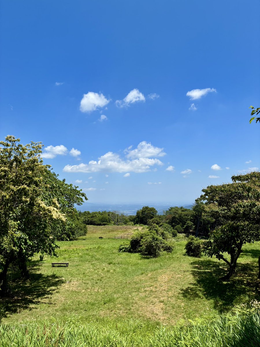 kumanek09's tweet photo. 夏を感じてた🫠 https://t.co/LtBhjDZDZn
