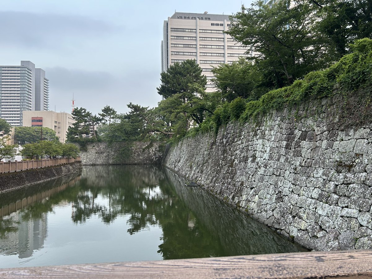 memegin2's tweet photo. @ameomitakai おじゃましました。早朝の駿府城公園は市民ランナーの方がすれ違うたびに挨拶してくださるので、とーっても爽やかな朝でした☀️
また雨模様さんに会いに行きますね☺️ https://t.co/W3wvu66Tjr