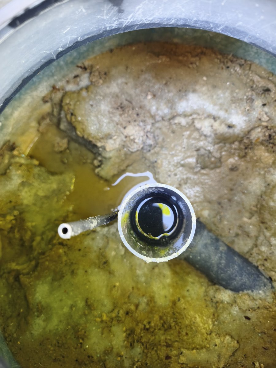 Int_Piscinas's tweet photo. Así está la arena (o el cristal) de un filtro de piscina después de un par de años.
Biofilm, urea, cloraminas (di y tri), y una serie de elementos totalmente dañinos para la salud.
Te has preguntado alguna vez si existe otro tipo de elemento filtrante?
Lo hay, sí.
Pregúntame https://t.co/Ijrxcb1pRA