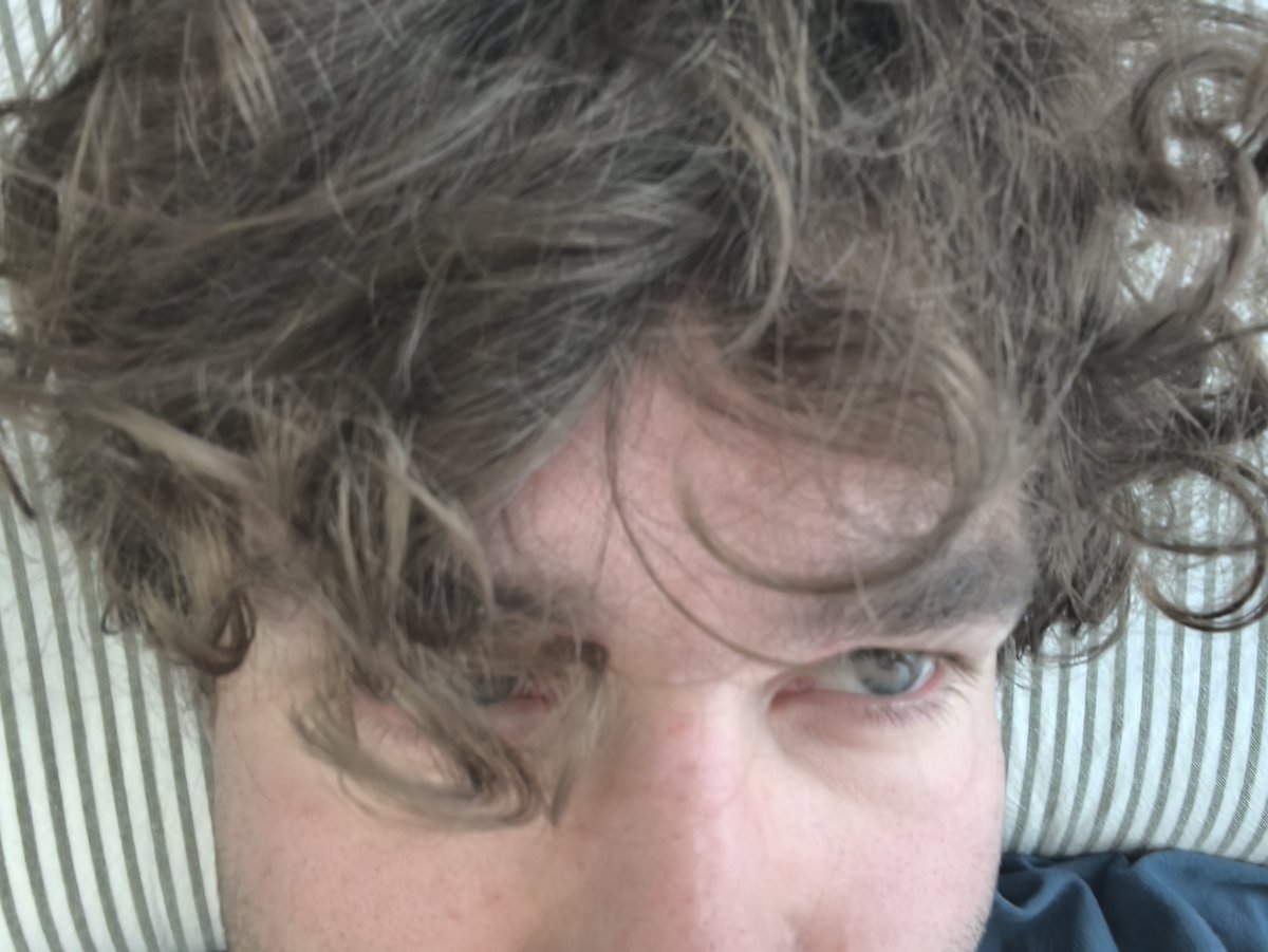 Sam tweet media