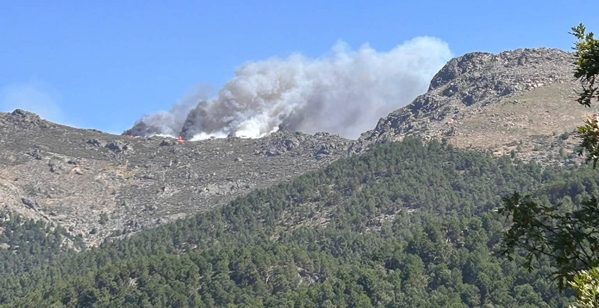 diario_de_avila's tweet photo. 🚒 El frente sur del incendio concentra la máxima preocupación. Mejora en Navaluenga, El Barraco y Cebreros, pero Casillas y Piedralaves centran los esfuerzos de extinción. Desalojas a decenas de miles de personas del Alto Tiétar. #IFBurgohondo

https://t.co/vmGcsmtfI9 https://t.co/XHXMx0f393