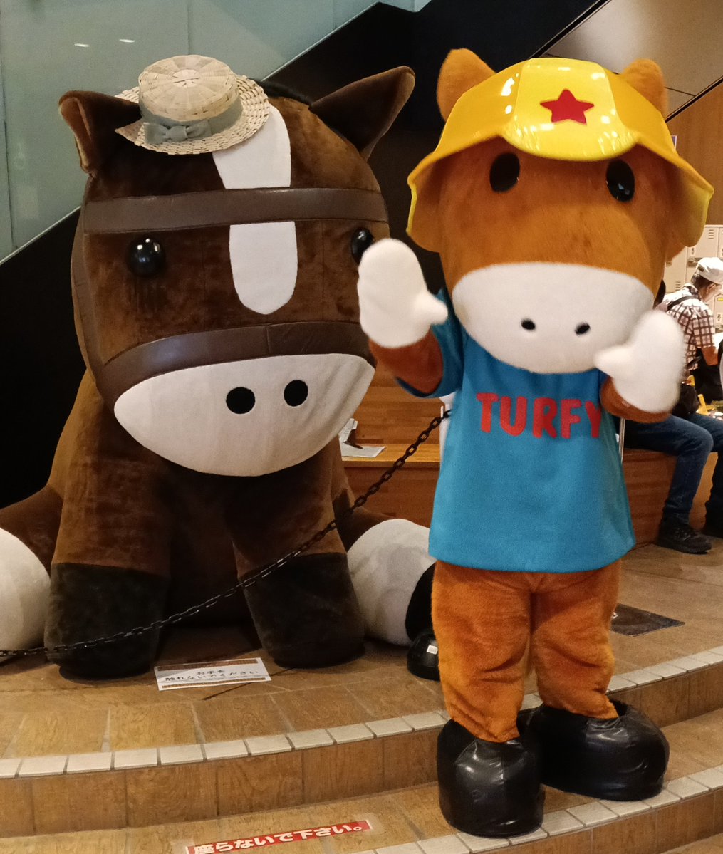 36sen36's tweet photo. ターフィーの隣の馬🏇
だれだろう。。。
#札幌競馬 https://t.co/bC9pEtUrW3
