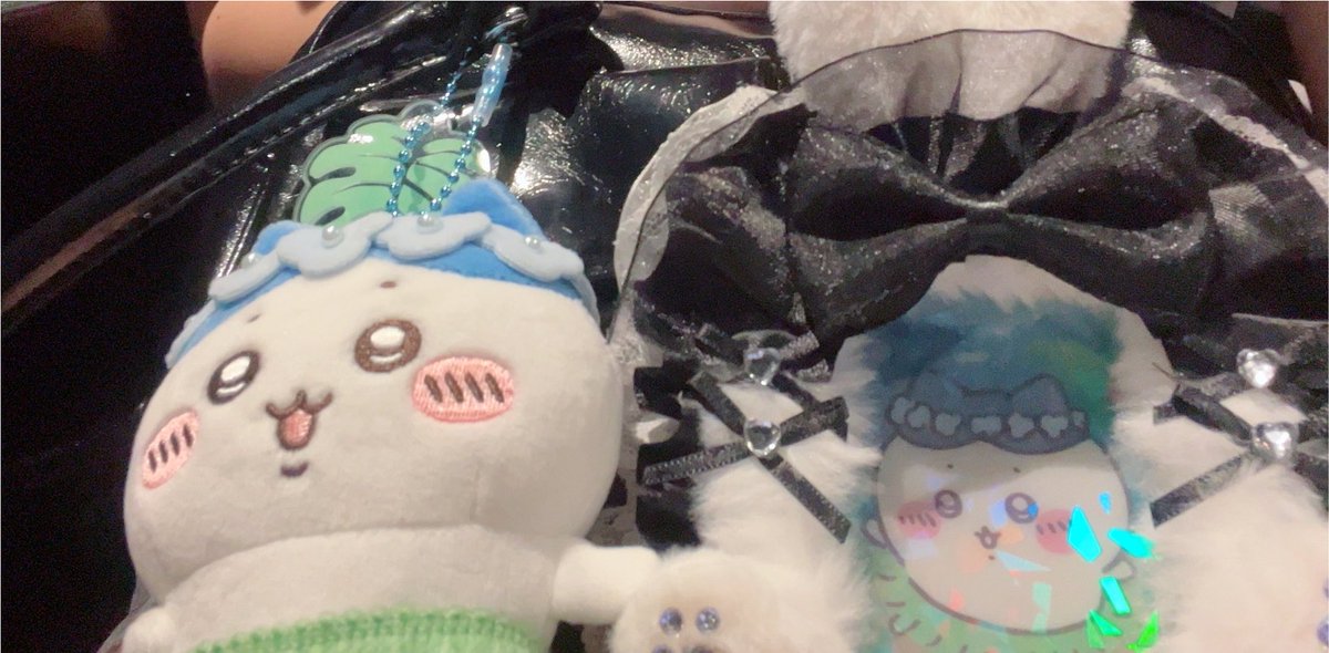 luv2_06's tweet photo. 島の姿かわいくてほんとにだいすき^⸝⸝o̴̶̷̥᷅  ̫ o̴̶̷̥᷅⸝⸝^ https://t.co/L7c3kCeEIW