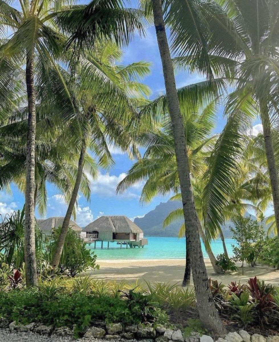 ForeverPhotos88's tweet photo. Paradise in Bora Bora https://t.co/SYM9hXU5zt