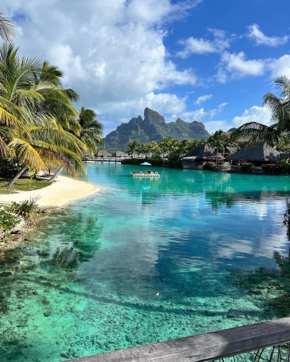 ForeverPhotos88's tweet photo. Paradise in Bora Bora https://t.co/SYM9hXU5zt