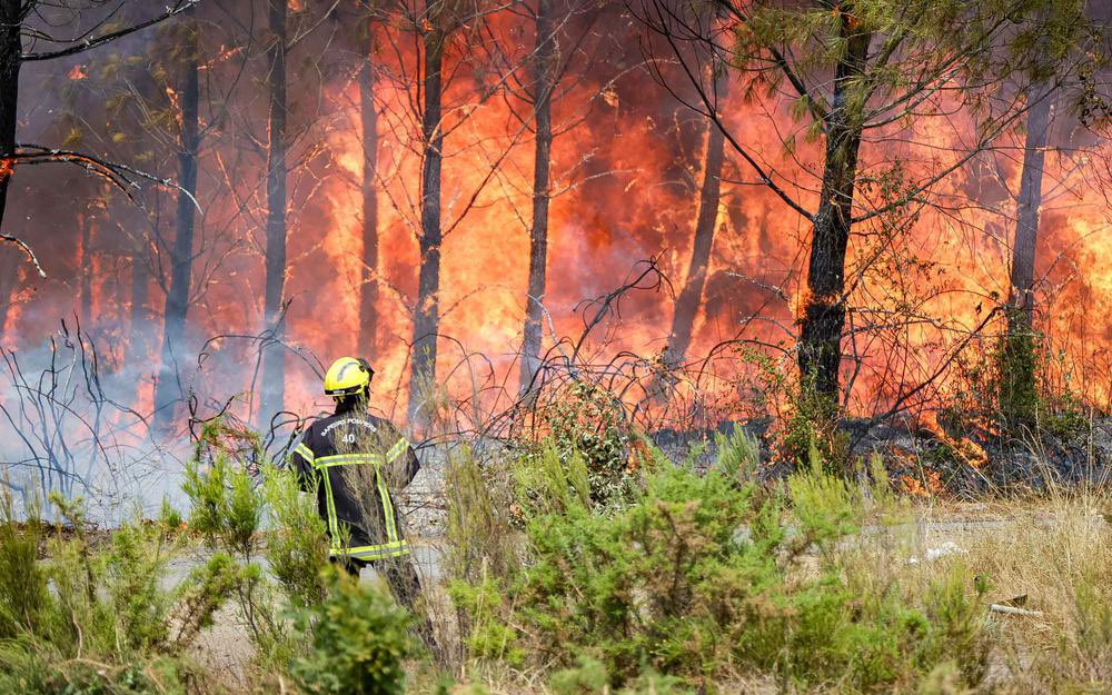 eciotti's tweet photo. Partout en France, des milliers de sapeurs-pompiers luttent sans relâche contre les incendies qui frappent notre territoire. Leur courage, leur engagement et leur sens du devoir forcent le respect.

En cette période particulièrement éprouvante, j’adresse tout mon soutien à celles et ceux qui combattent les flammes, souvent au péril de leur vie.

Et j’ai une pensée émue pour nos deux camarades Anthony et Wilfried disparus en Gironde. 

Leur sacrifice ne sera jamais oublié.