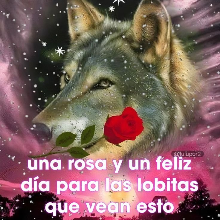 Muakyyy_'s tweet photo. @Srlaazyy Aléjate de mis presas, ellas saben que son mías https://t.co/jgNbRgw43O