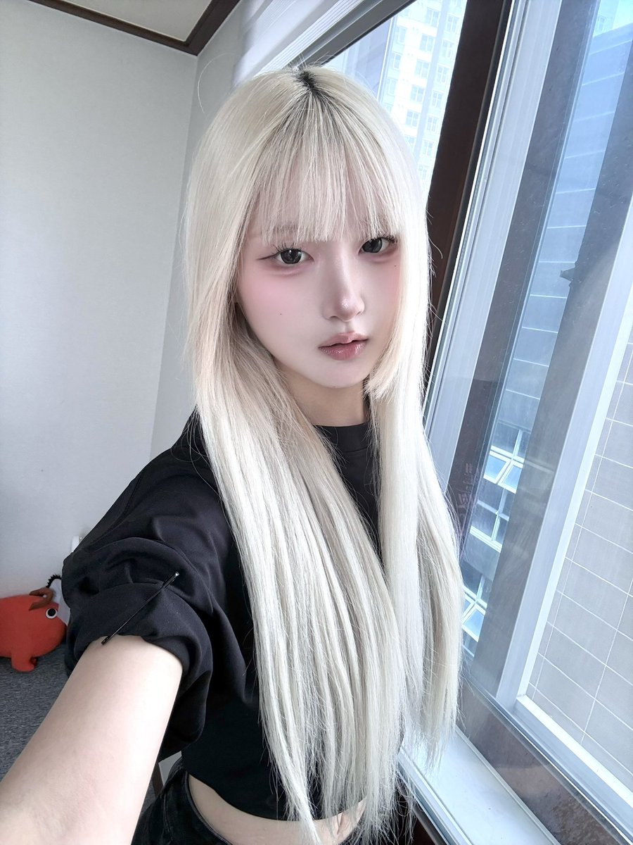고요 【asteria】 tweet media