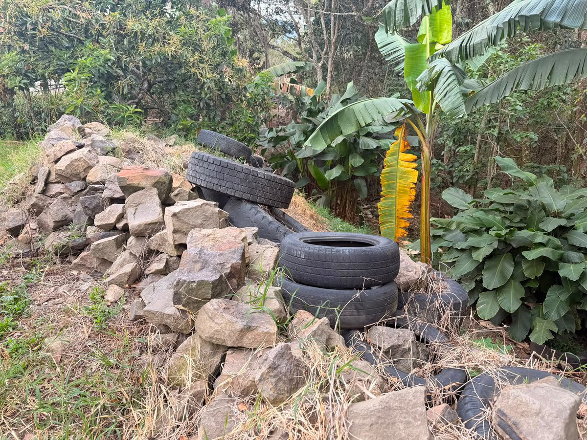 Alfred_Balle's tweet photo. Construir en una ronda hídrica y disponer escombros de forma inadecuada pone en riesgo el agua, el suelo y los ecosistemas. 

En Pacho, Cundinamarca, ordenamos la suspensión inmediata de estas actividades para proteger nuestros recursos naturales. #LaCARactúa https://t.co/Zc0TWYg6qF