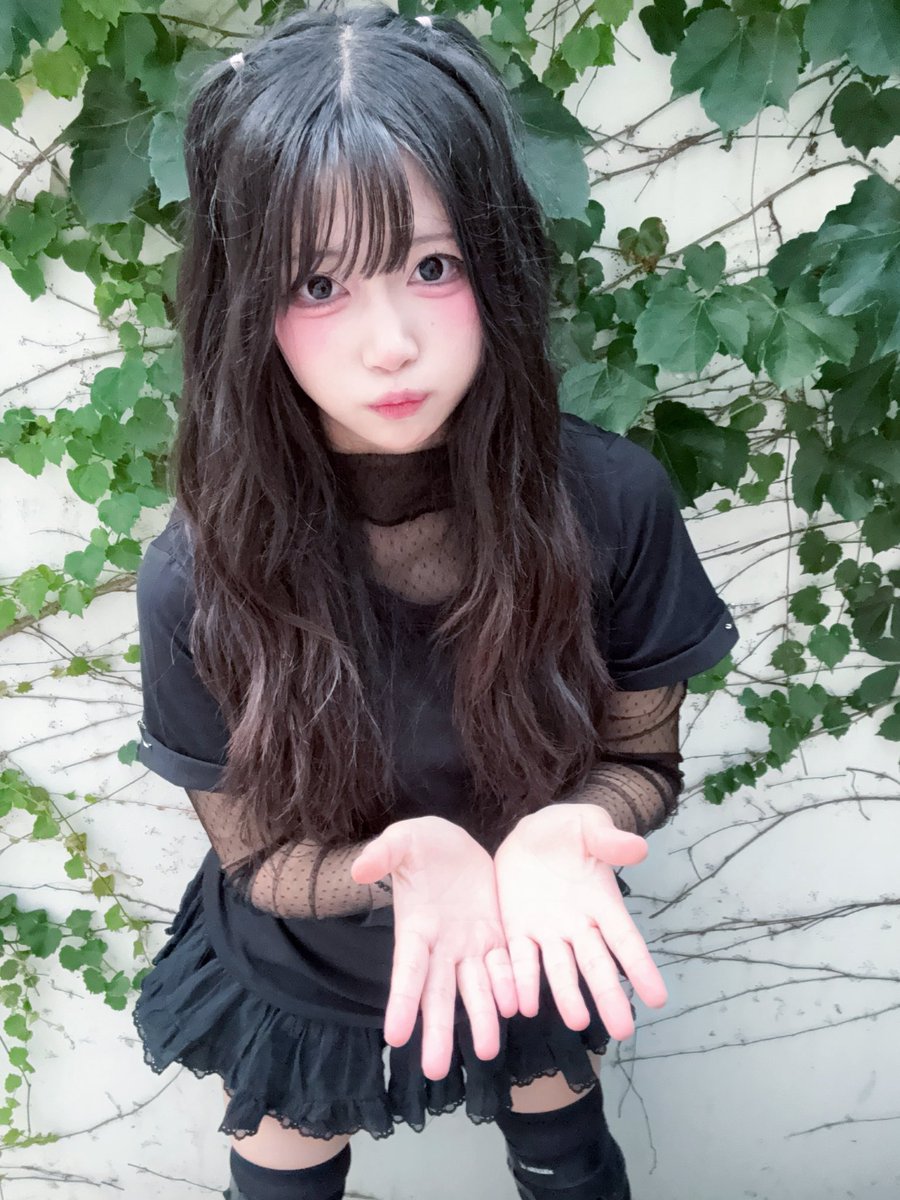 나츠하なつは☘️ tweet media