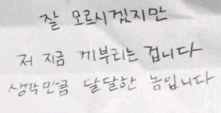 도은 tweet media