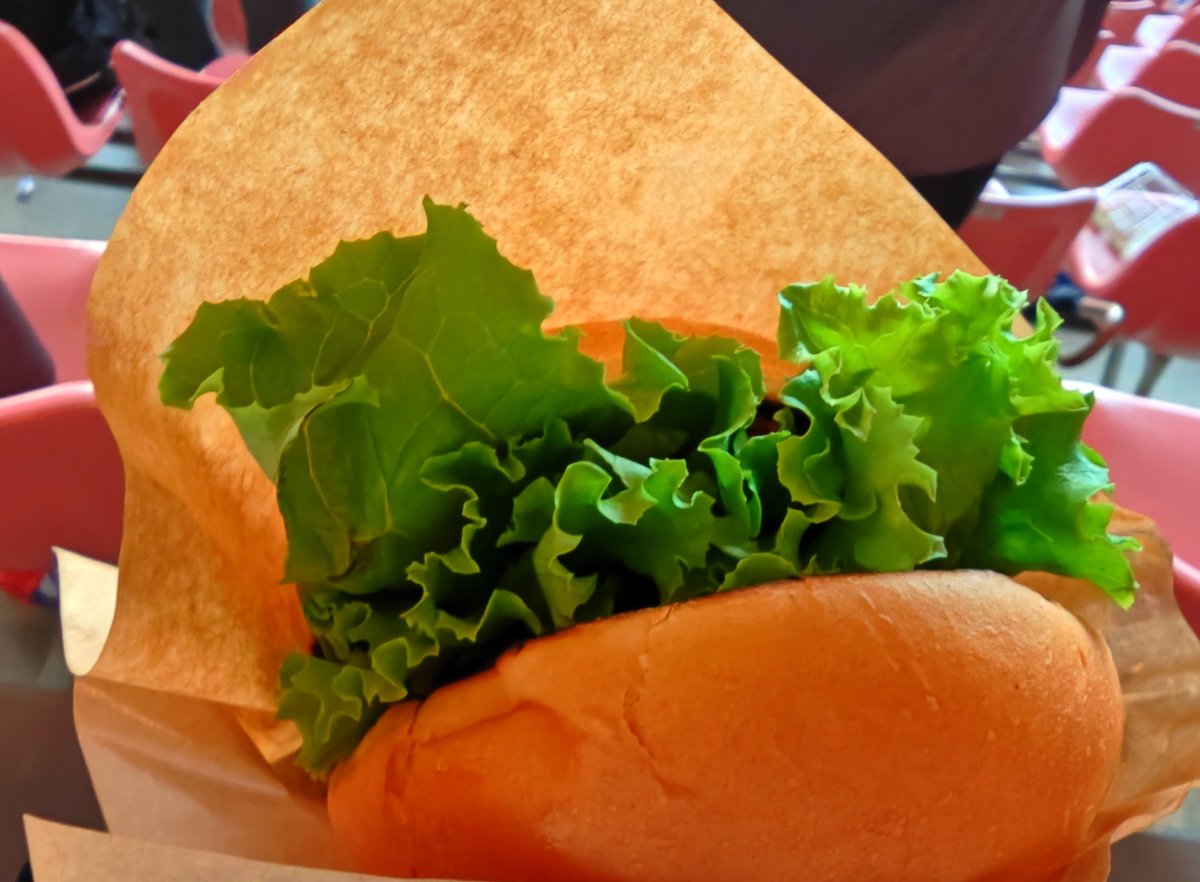 mochinokonoko's tweet photo. プレシーズンマッチも食うぜ( ⊙ω⊙ )！
ビストロ椿さんのハンバーガーとソーセージの組み合わせ😋
肉汁がすごいん😋

#albirex
#もぐアル https://t.co/ATlNfz54b5