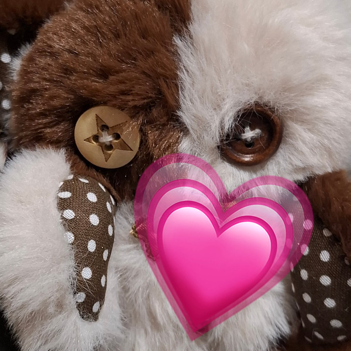 candy_cat96's tweet photo. 我が家に無事に到着のmocaちゃん☕*°🫶🏻︎💕︎︎
Luaさんありがとうございました🙏☺
うちでたくさん可愛がります❤
大切にします‼️
オマケも肉球で可柄愛い🫶🏻︎💕︎︎
梱包も神がかって凄かったです✨ https://t.co/GjiWKmHCvB
