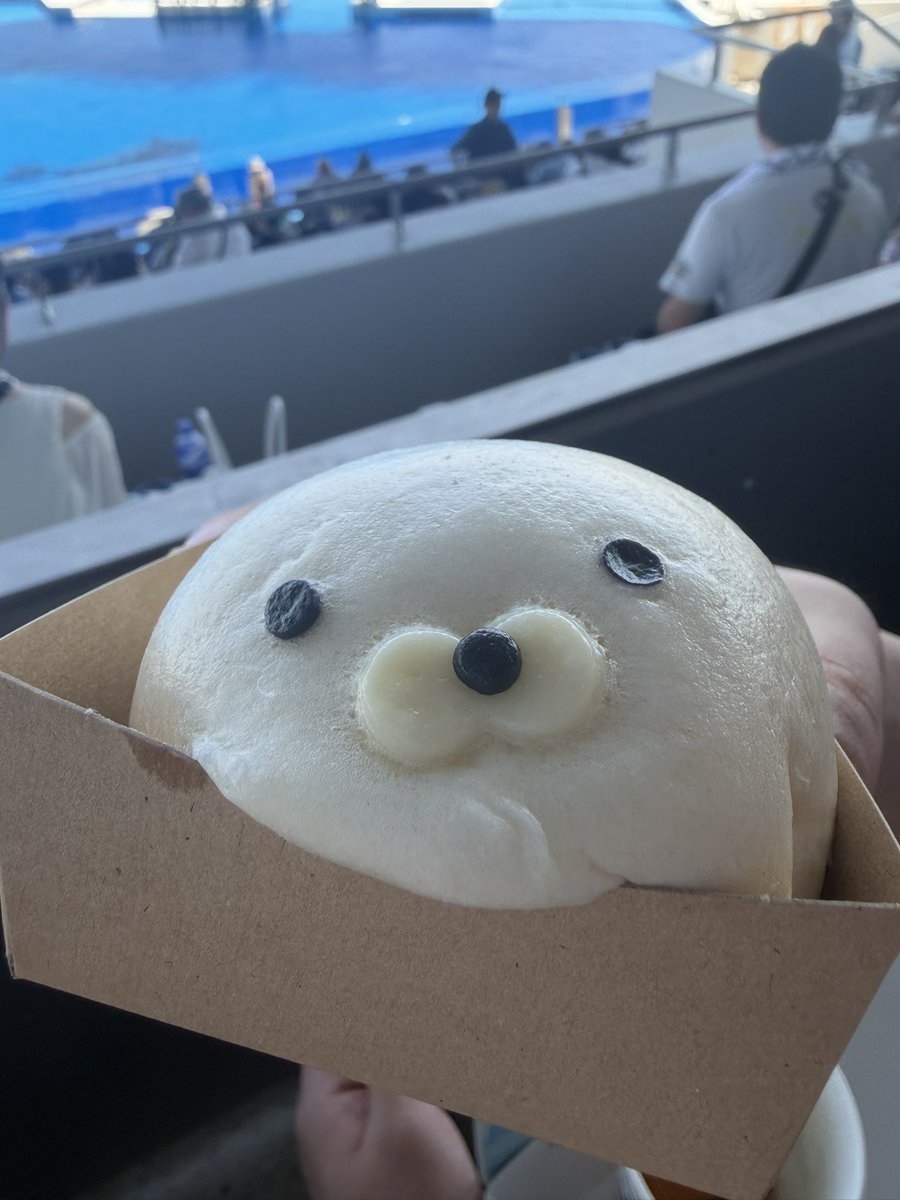 knynhtn's tweet photo. 神戸須磨シーワールドが暑すぎてあざらしまんも溶けてた https://t.co/b82JIlKhGn