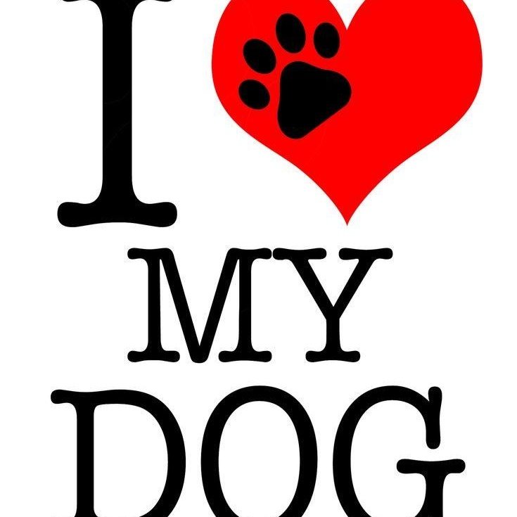 CarolinaJo6ogc's tweet photo. I m your filthy whore, #Dogknotting whore always wet, stretch, and begging for that thick knots to lock me deep, lets connect on TG ask for my :https://t.co/CFGMFVa8eJ

#zoophillia #zoosarevalid #beastiality #dogknot #zooprideisvalid #zoophile #antizoo #antizoophile #zooprid https://t.co/stgUSaKqFF