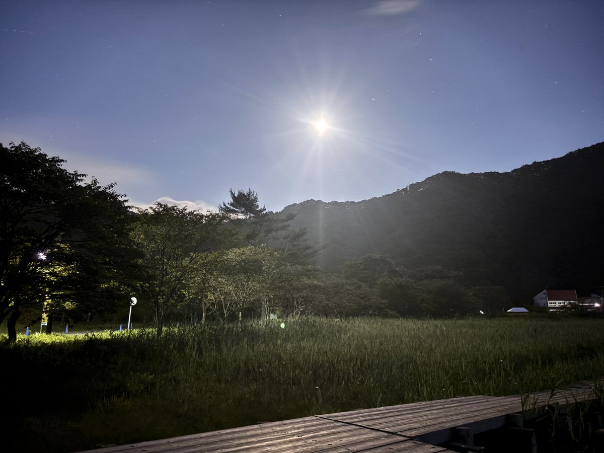sorabocchi's tweet photo. ホタルを探しに行ったんだけど見つからず…
ただ涼しくて地元よりは星が良く見えました https://t.co/YlOGfZwlko