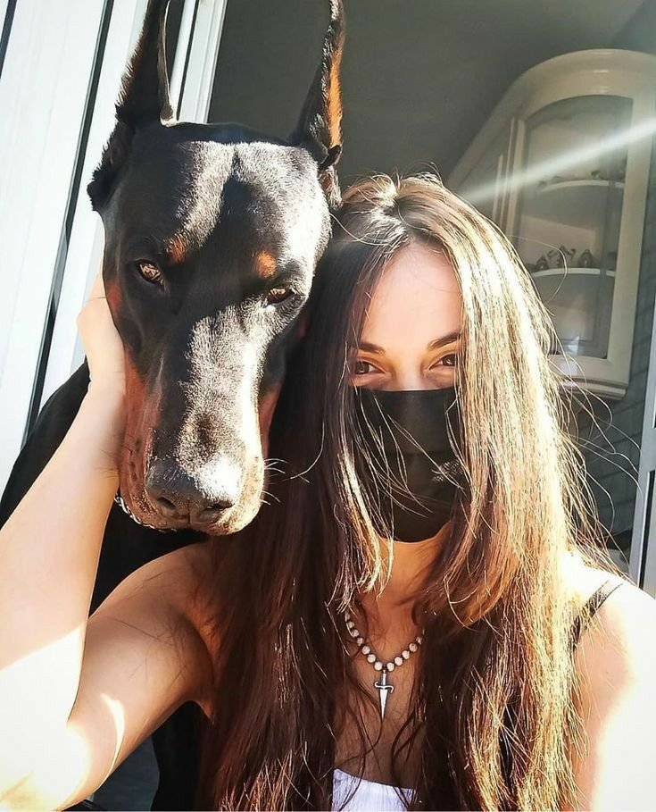 Sylvia Hounds🐕 tweet media