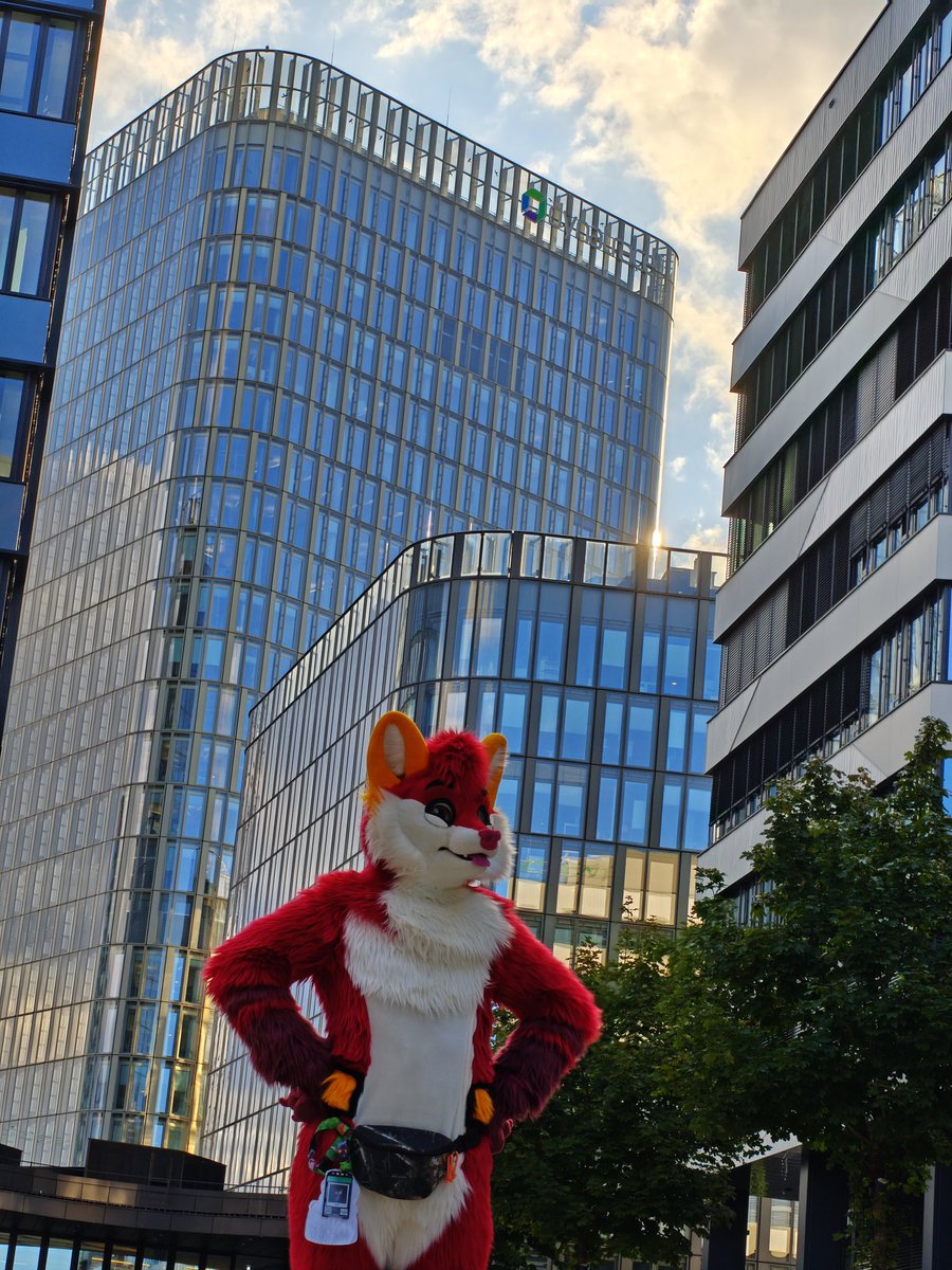 FurLolef's tweet photo. Fox of Wallstreet https://t.co/Knus8iYRnr