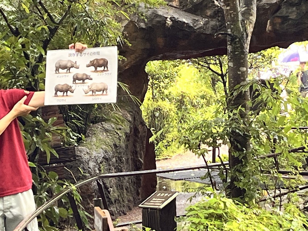 taako_chako's tweet photo. 今日の飼育員さんの動物のお話はクロサイでした。
当番はオスのアースくん。

5種類のサイ、どれもが絶滅危惧種。数を減らしている理由。八木山での繁殖計画。今はZOOMOにいるランちゃんを産んだときのユキさんの様子などなど。いろいろなお話を聞くことができました。

ありがとうございました。 https://t.co/Ng5MLc1O47