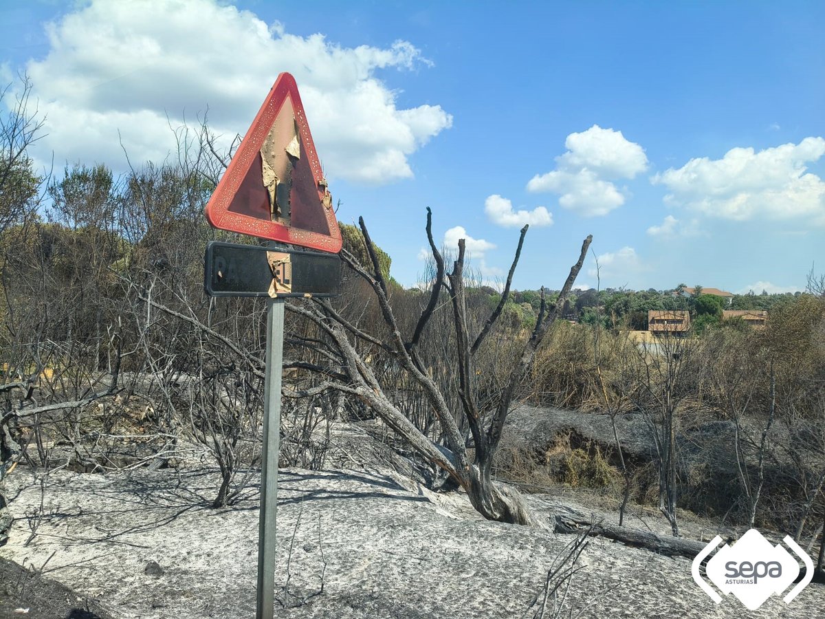 112Asturias's tweet photo. @BomberosAstur @mitecogob @UMEgob @BomberosMad Zona de trabajo del equipo FAST de @BomberosAstur en Pelayos de la Presa, Madrid. https://t.co/fiqIpKNJa7