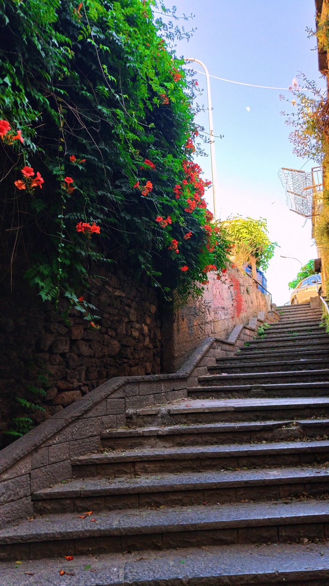 Emngrlll's tweet photo. 🌺🤍 https://t.co/MZq1mivbqH