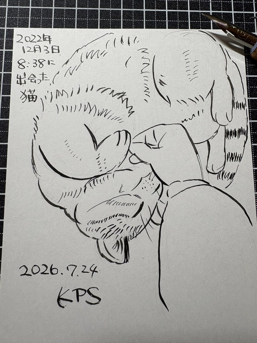 smallaxe0329's tweet photo. ねこ #つけペン #アナログ https://t.co/USi2yKCEpM