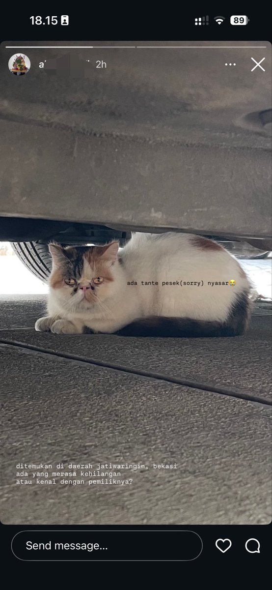 yukithecharcoal's tweet photo. Info kucing hilang

Ditemukan kucing calico betina, pesek

Daerah Jatiwaringin Bekasi https://t.co/kwnoH403Lr