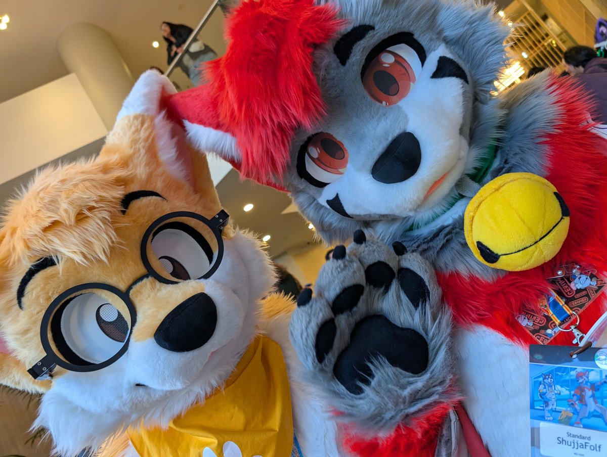 ˗ˏˋ PawFessor Yapsᶠᵒˣ ˊˎ˗ ➡️ BlueSky tweet media