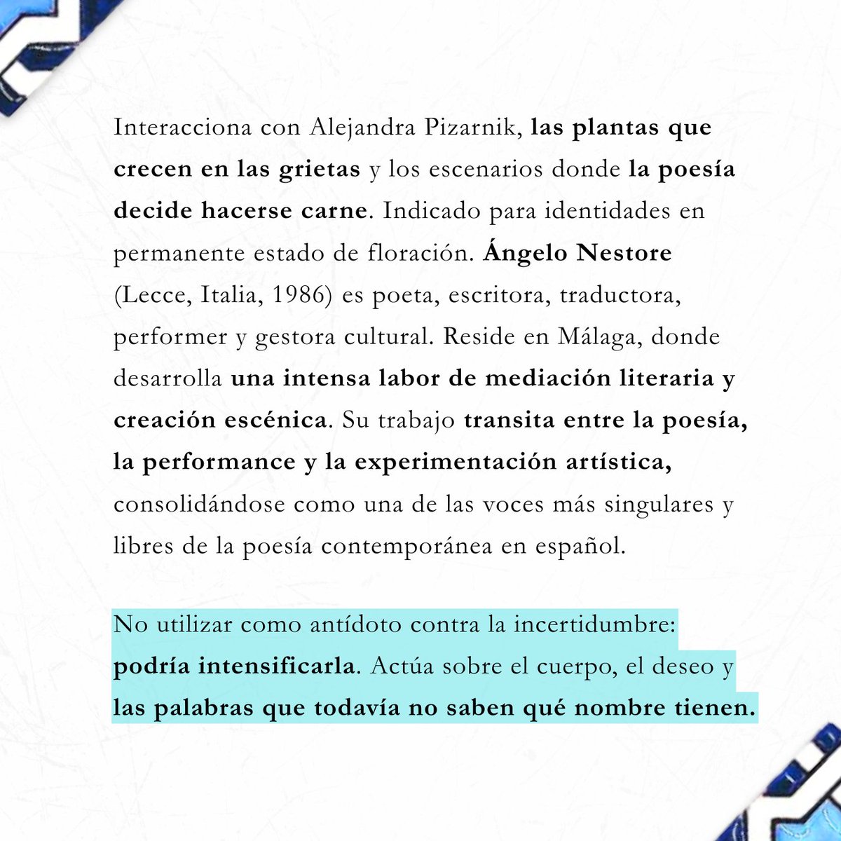 Culturalh_'s tweet photo. Ángelo Néstore (@angelonestore)  llega a la segunda edición de CULTUR_ALH que tendrá lugar del 21 al  27 de septiembre.

La autora, performer y gestora cultural se suma al Festival Internacional de Arte, Literatura y Humanidades. https://t.co/T2jVk2MwFv