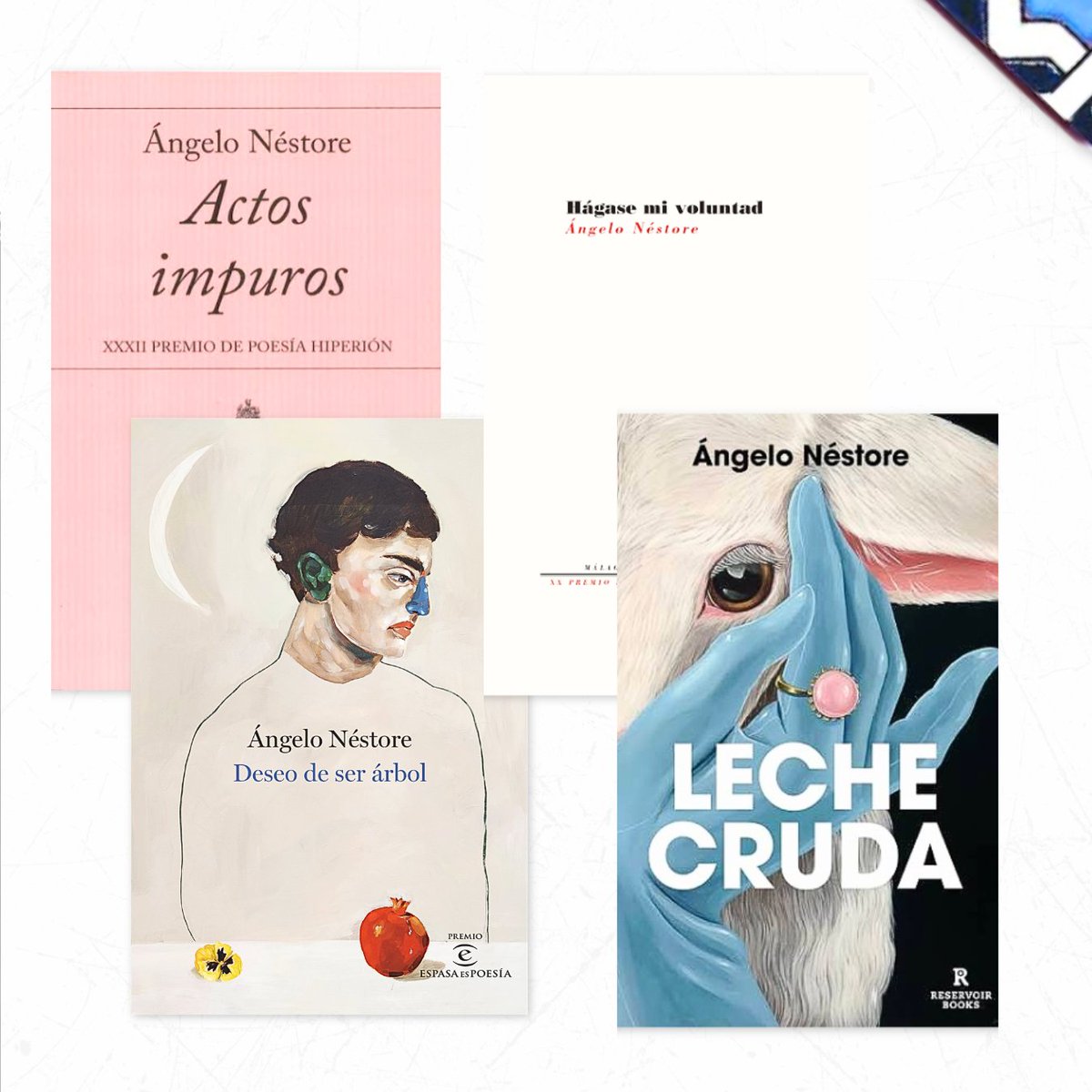 Culturalh_'s tweet photo. Ángelo Néstore (@angelonestore)  llega a la segunda edición de CULTUR_ALH que tendrá lugar del 21 al  27 de septiembre.

La autora, performer y gestora cultural se suma al Festival Internacional de Arte, Literatura y Humanidades. https://t.co/T2jVk2MwFv