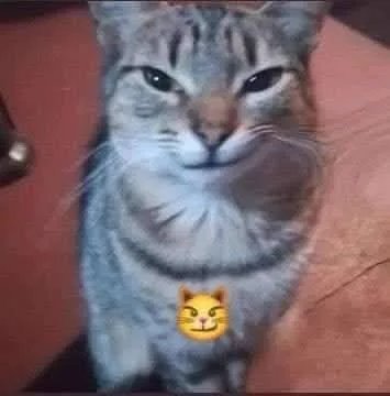 MayKaMay__'s tweet photo. @uaifitmg Vc
"Oiiii, esqueceu de me bloquear nos seus sonhos " https://t.co/aBoxS5UEqz